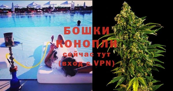 гидра Аркадак