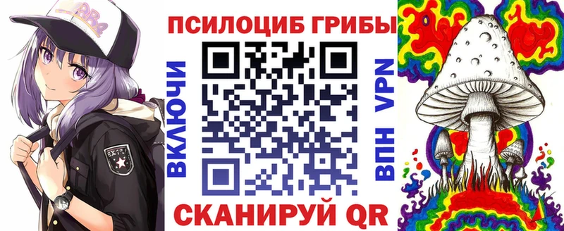 omg вход  наркотики  Бор  Псилоцибиновые грибы Psilocybine cubensis 